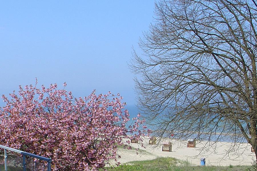 Villa Hansa Am Meer Timmendorfer Strand Luaran gambar